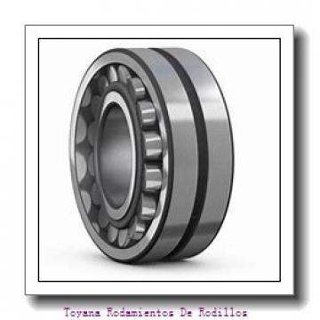 Toyana NF408 Rodamientos De Rodillos